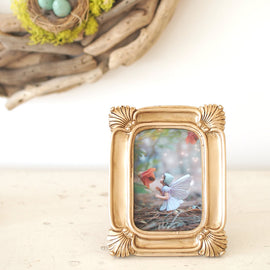 Flower Fairy Photograph Nursery Decoration